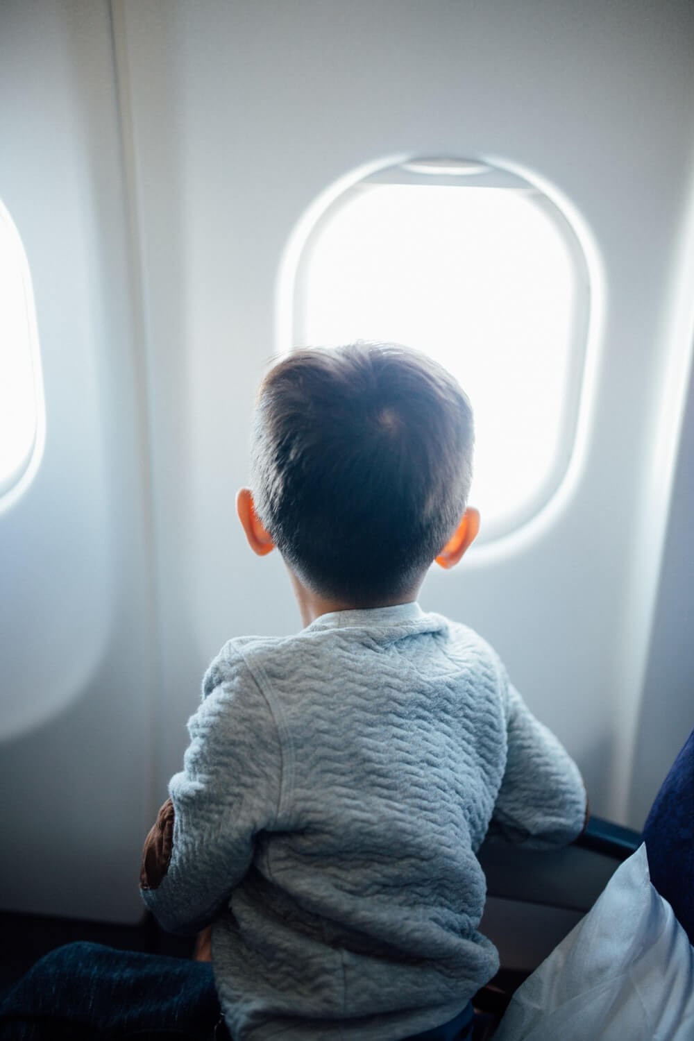 W Jakich Przypadkach Pasażerowie Podróżujący Bezpłatnie Oraz Dzieci Do 2 Roku życia Mogą Ubiegać 1950